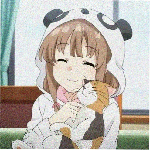 剧迷夜猫子编辑部的头像